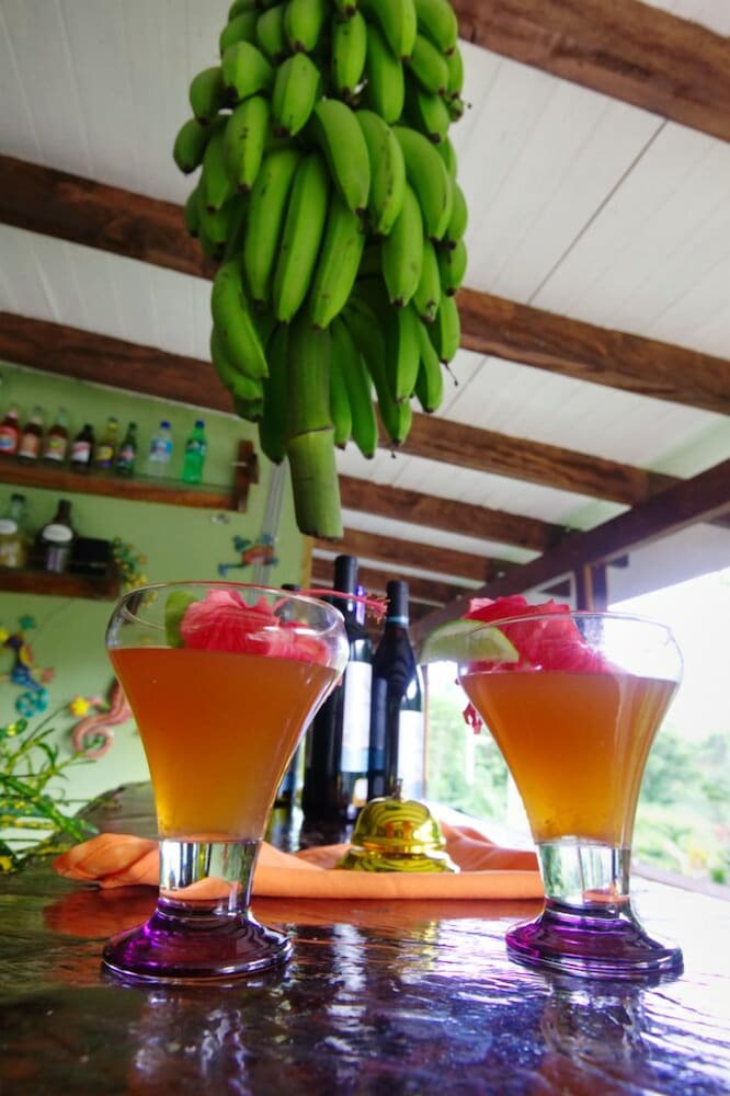 Hibiscus Valley Inn 14/50