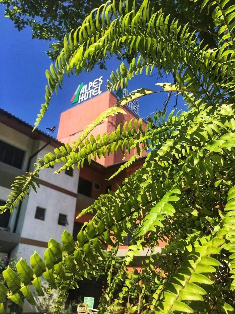 Alpes Hotel 39/42
