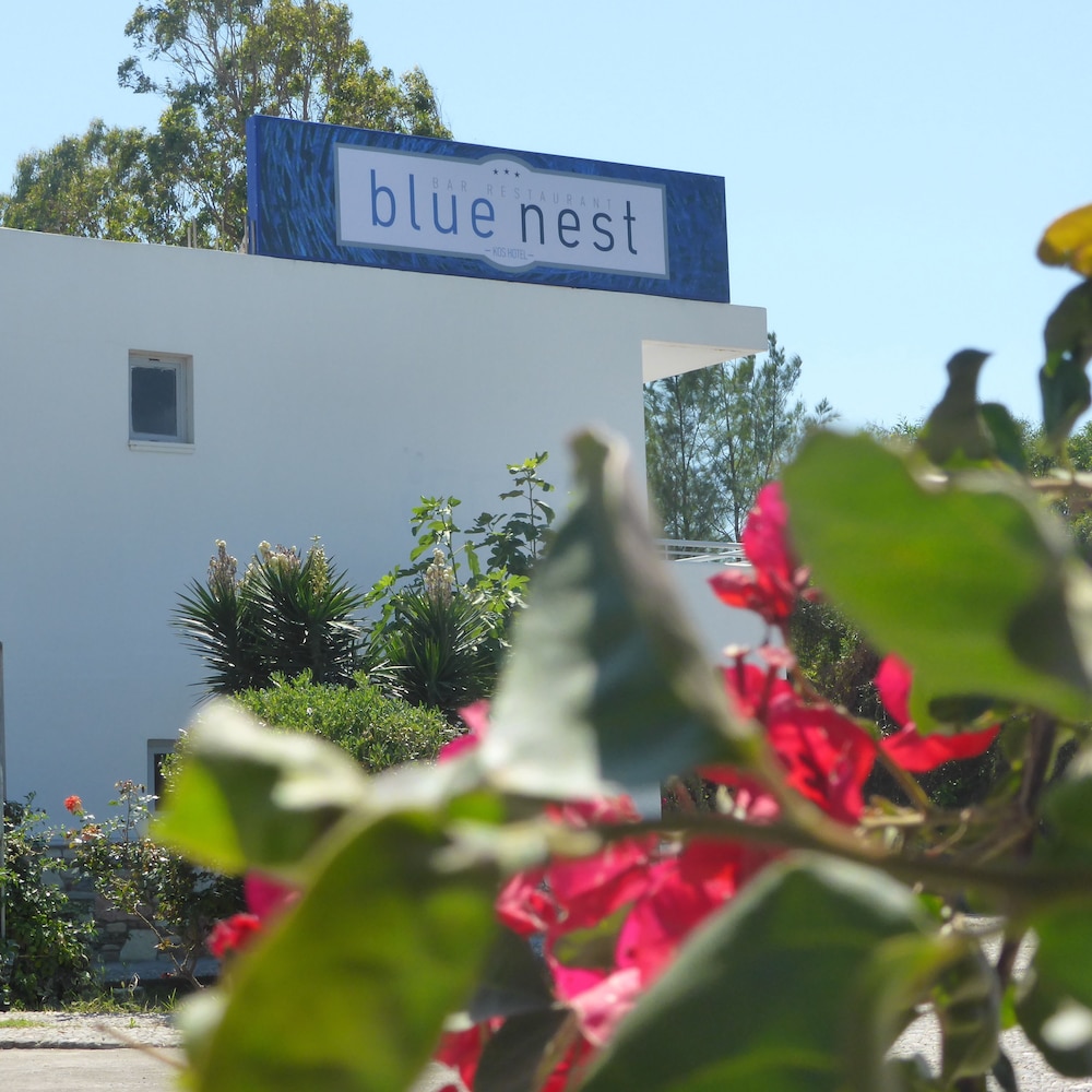Blue Nest Hotel in Tingaki