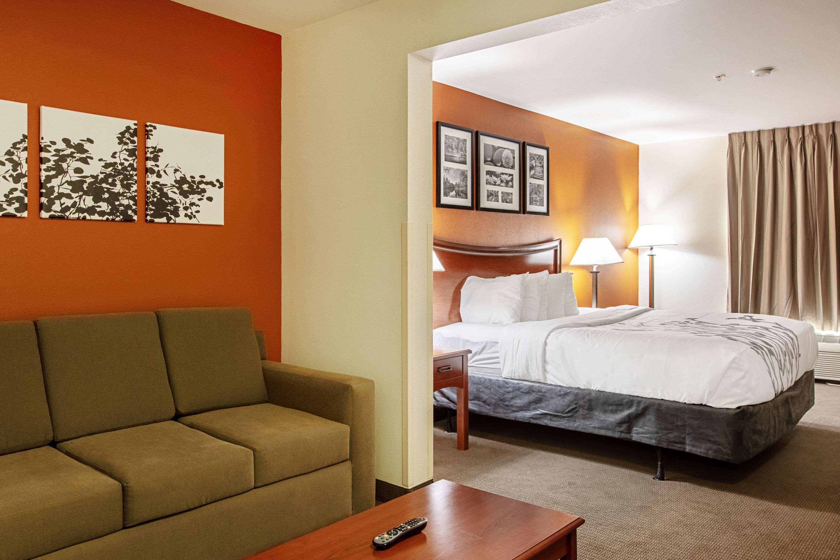 Suite, King Bed