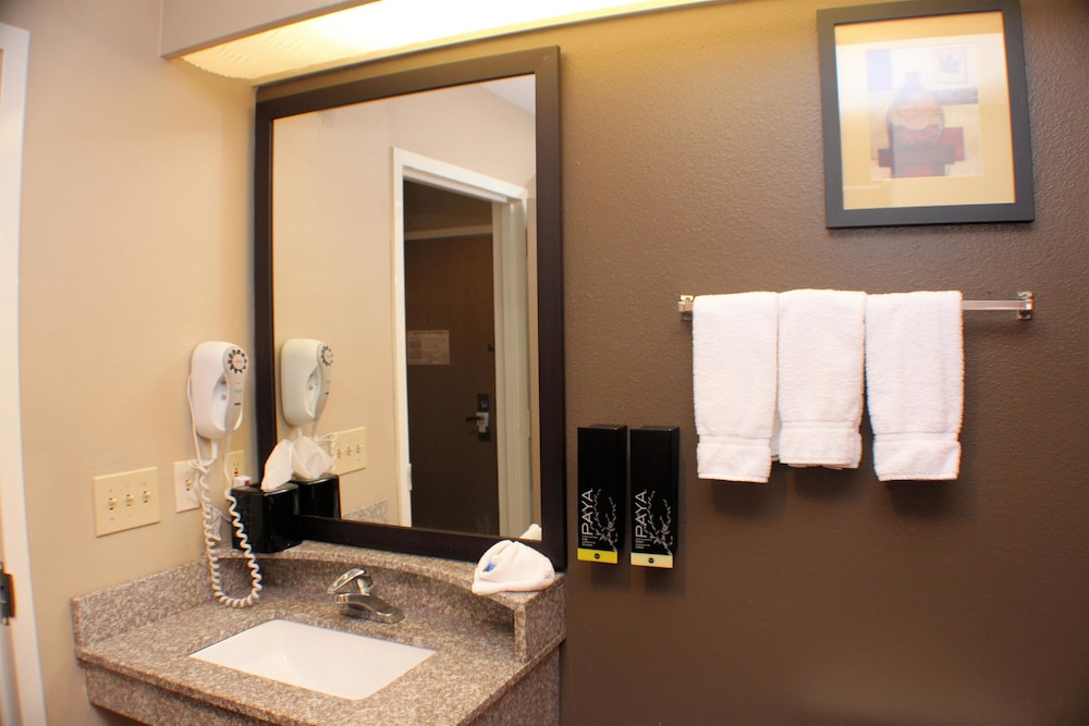 Best Western Inn & Suites New Braunfels 14/35