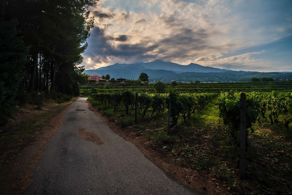Tenuta San Michele 25/31