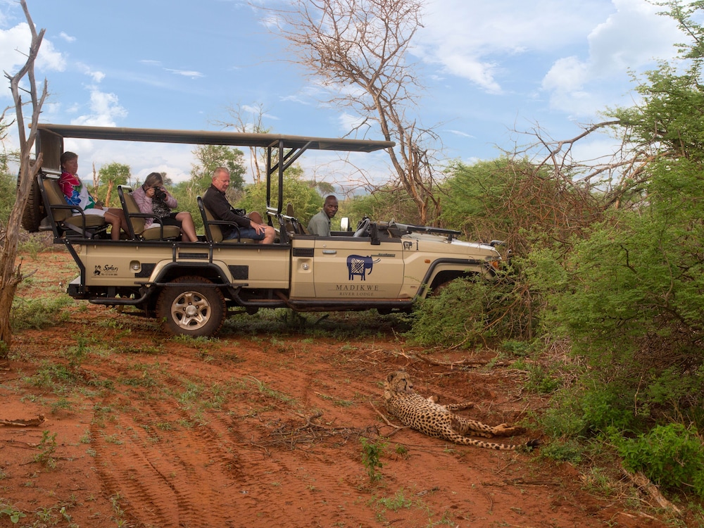 MADIKWE RIVER LODGE 28/42