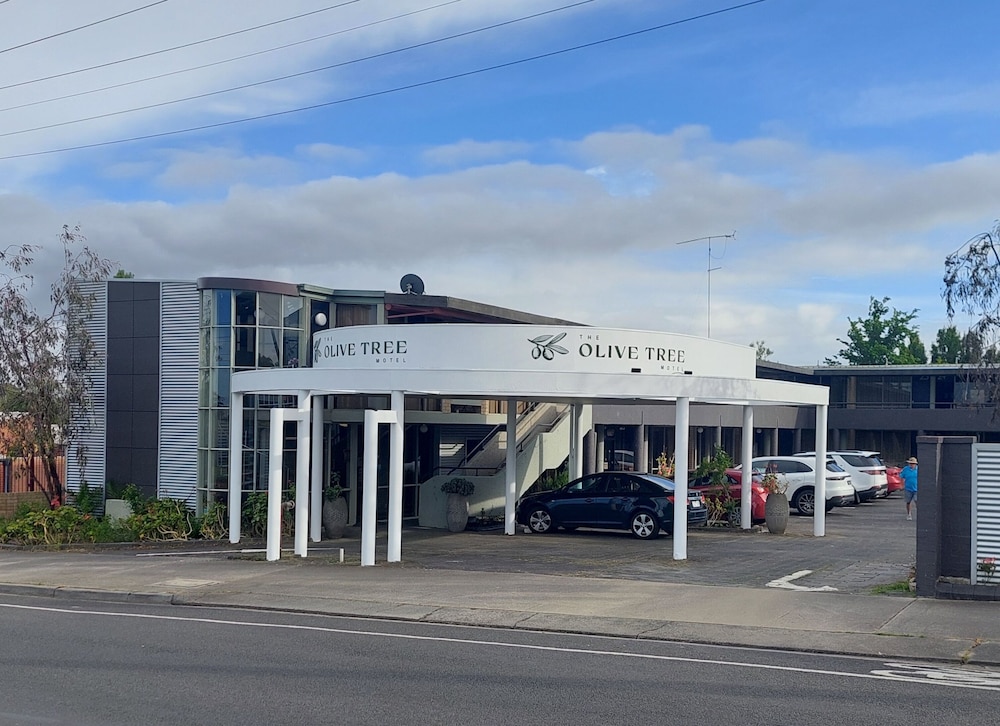 The Olive Tree Motel 27/31
