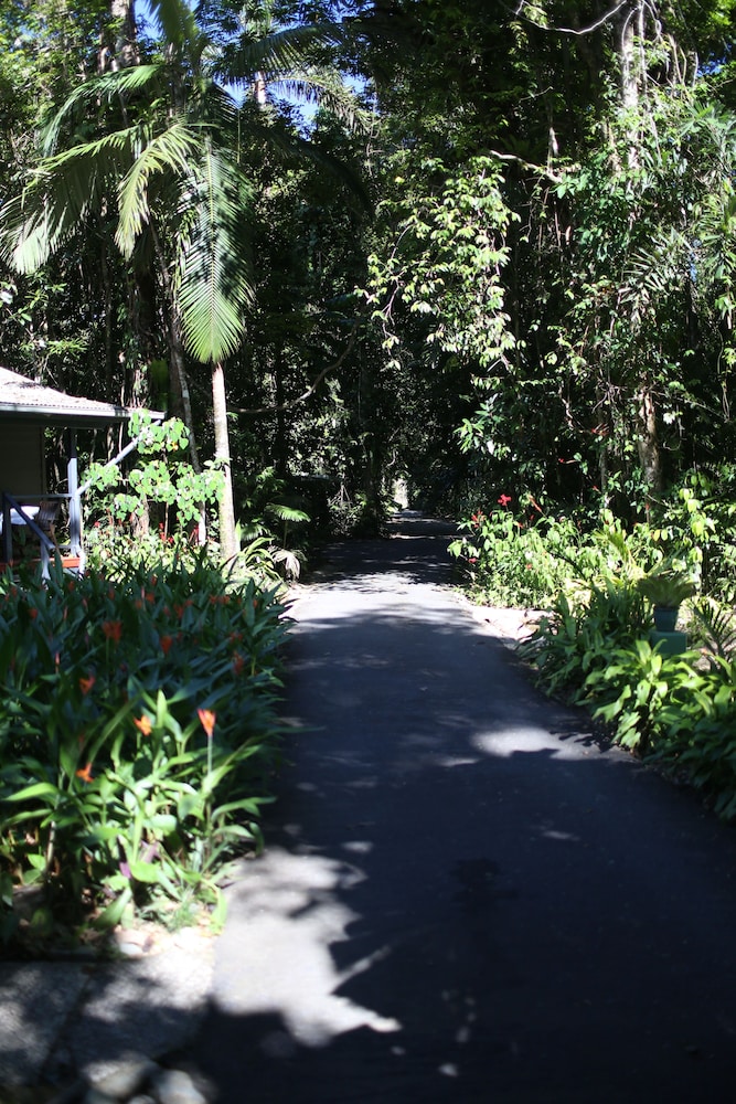 Heritage Lodge In the Daintree 39/53
