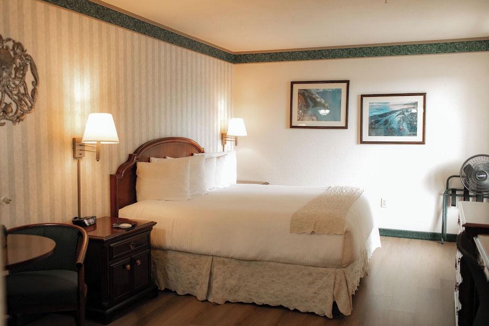 Comfort, Suite, King Bed, Emerald Dolphin Inn 3/5