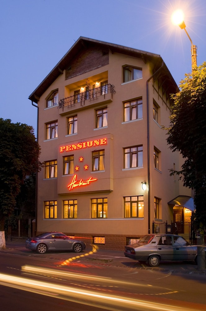 Pensiune Ambient酒店(Pensiune Ambient) 图片3