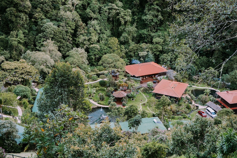 Trogon Lodge 25/46