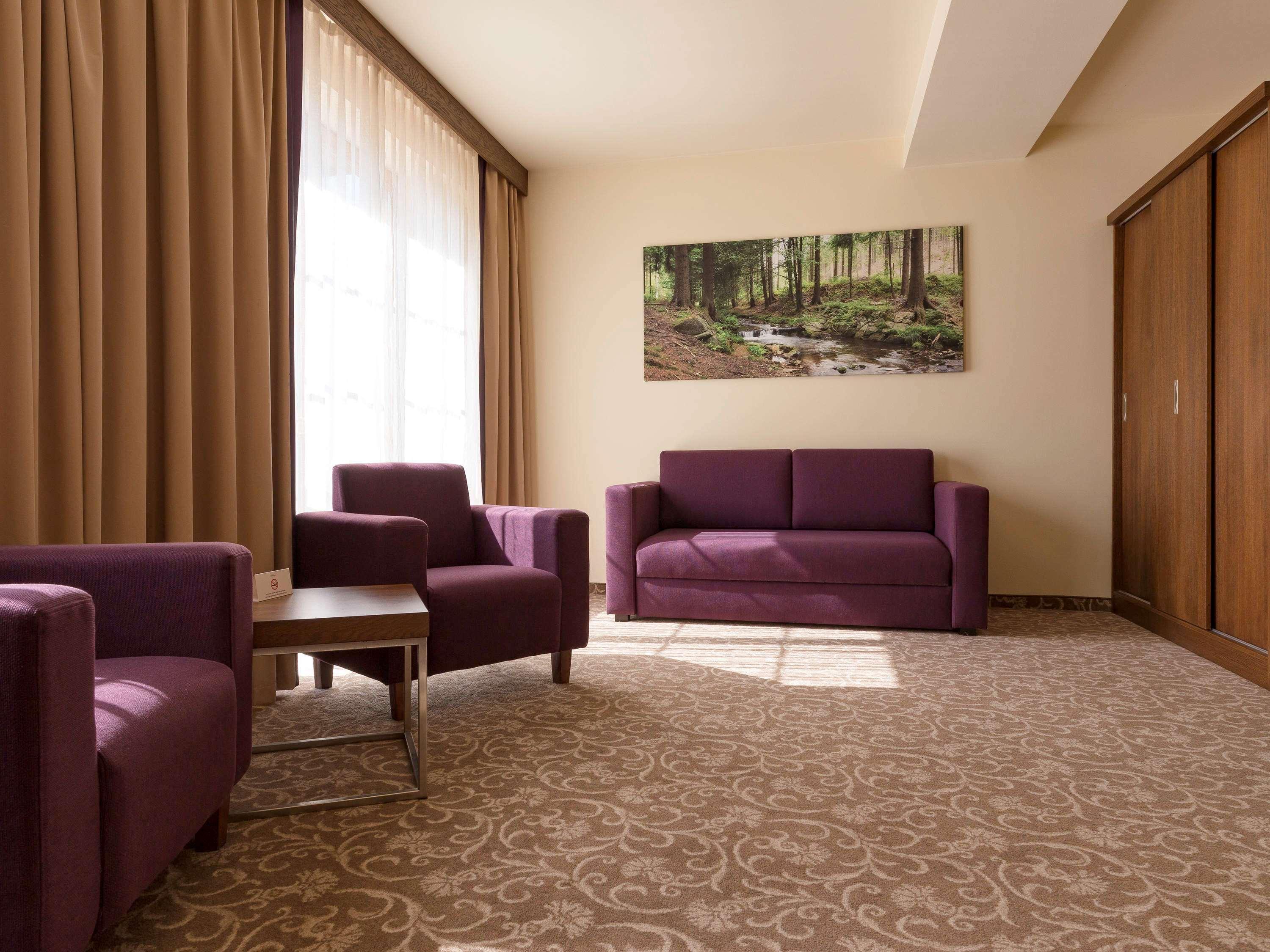 Hotel Mercure Krynica Zdroj Resort and Spa 29/50