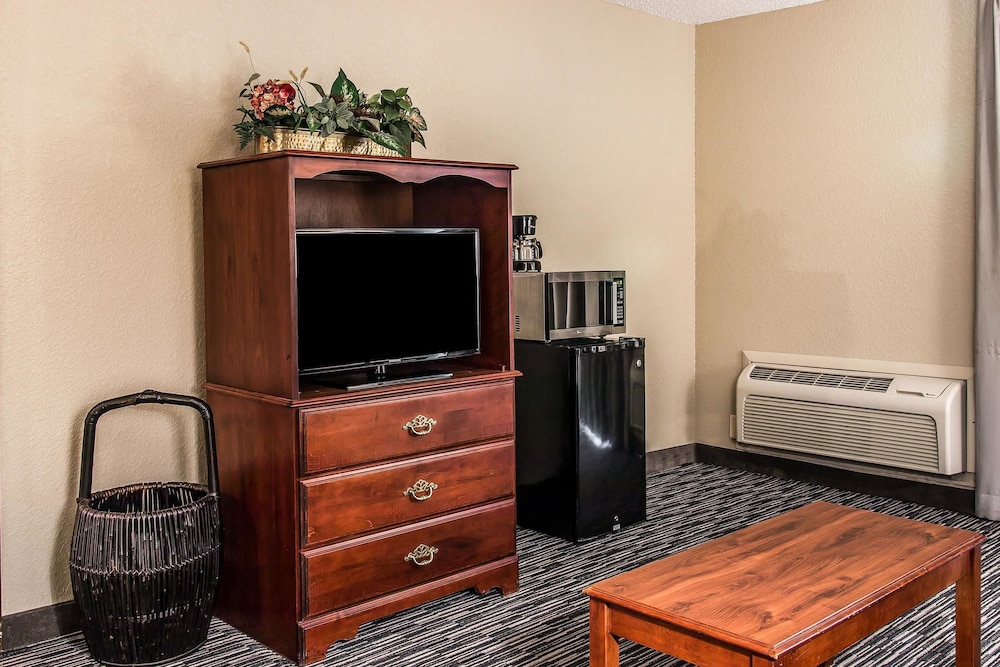 Quality Inn & Suites Livonia - Detroit 28/38