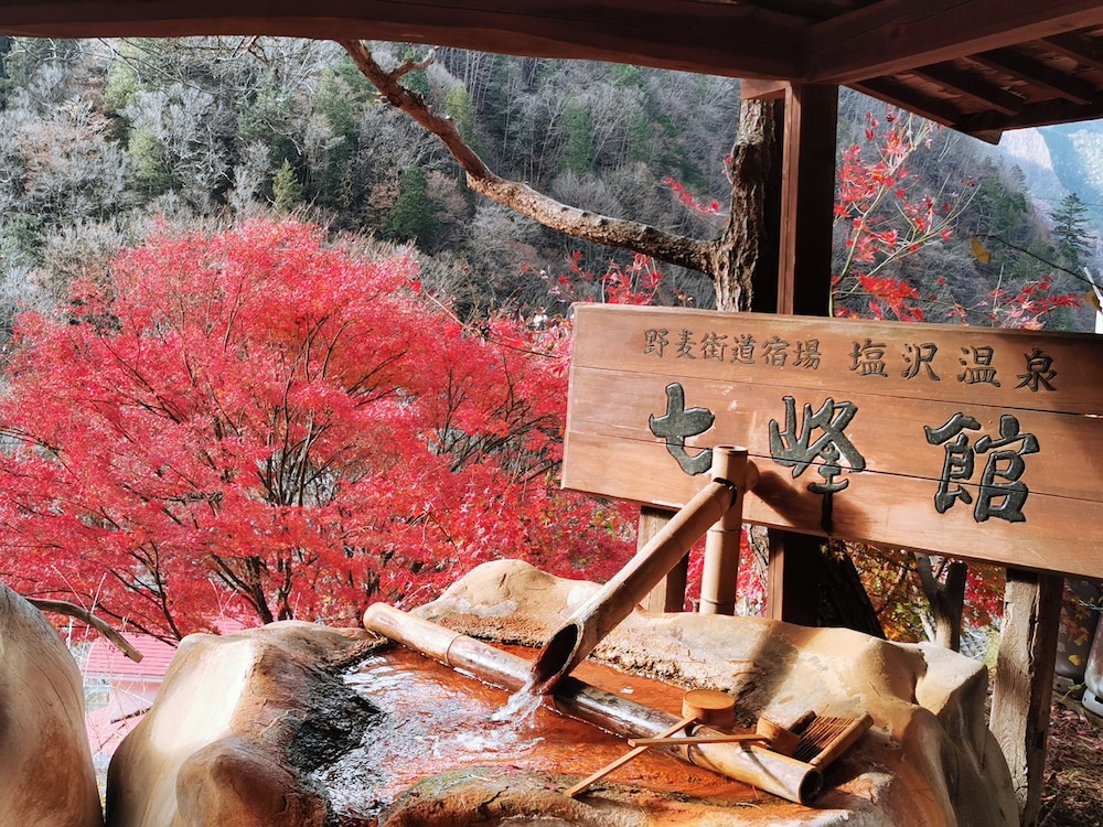 Shiozawa Onsen Shichihokan 11/12