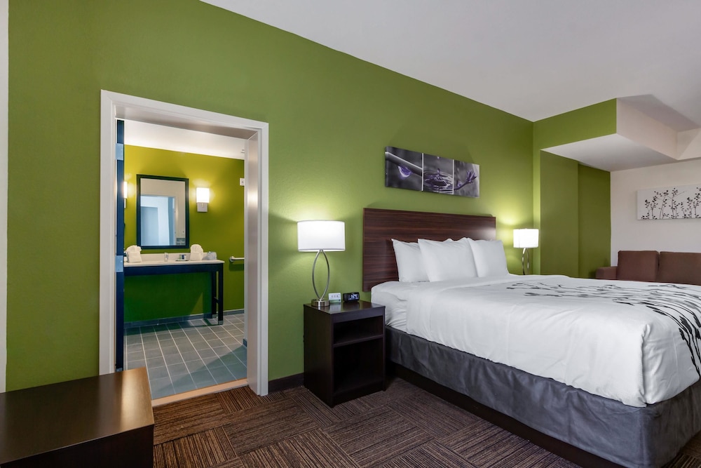 Sleep Inn & Suites Tampa South 21/42