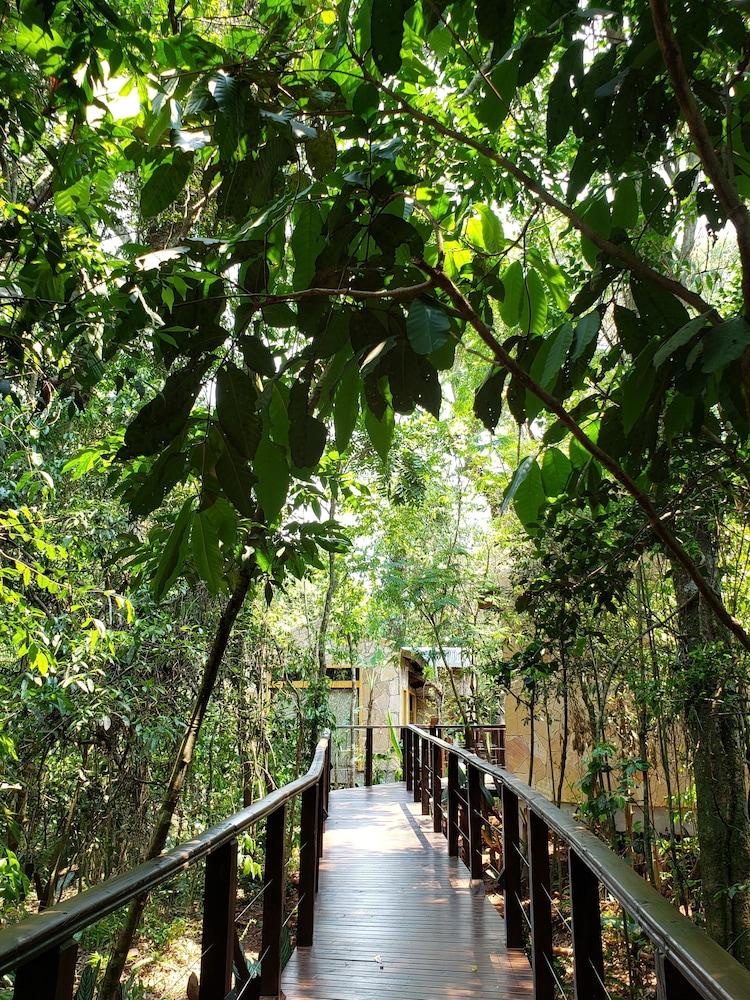 Selva de Laurel 60/71
