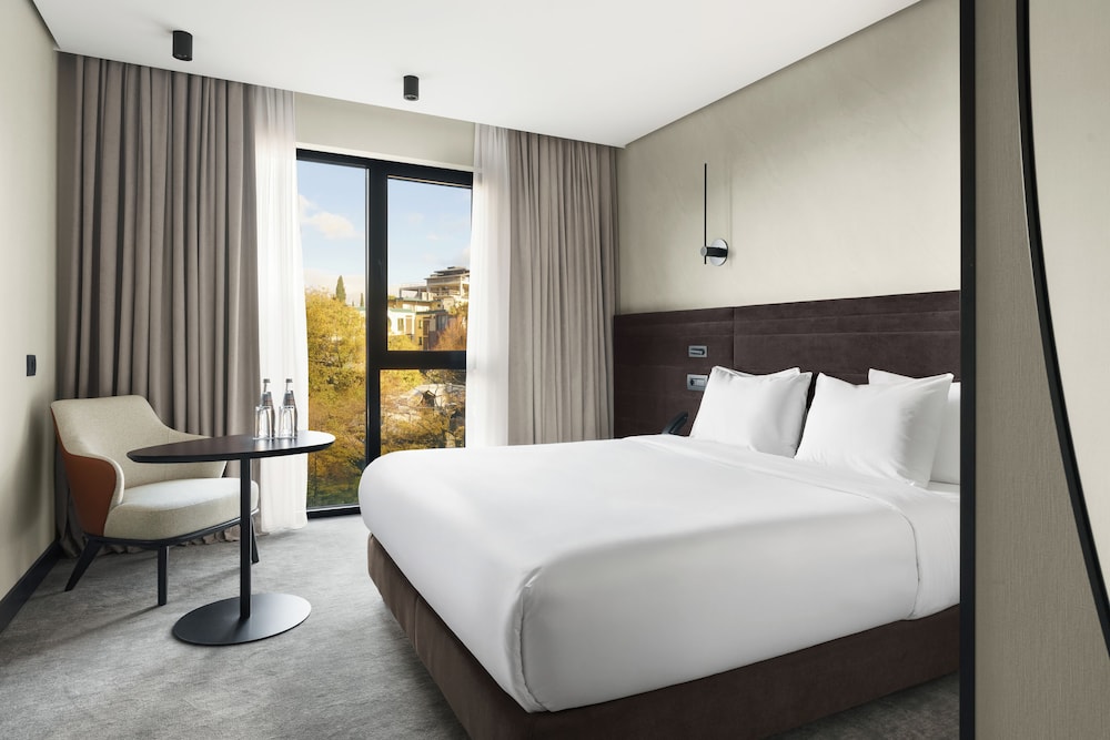 غرفة قياسية بسرير كينج، Novotel Tbilisi Center 2/7