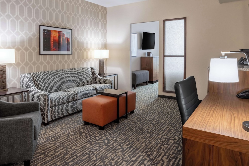 Drury Plaza Hotel Dallas Arlington 28/50