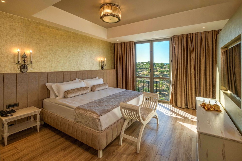Ramada Plaza by Wyndham Mardin 13/48