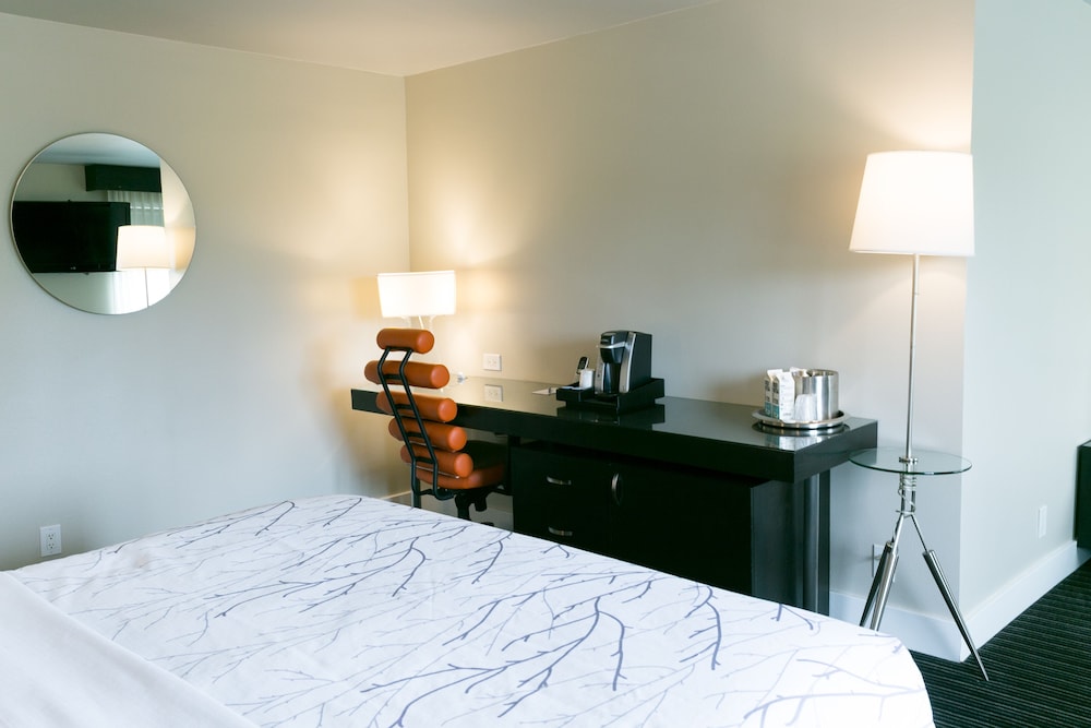 Hotel Current 16/67