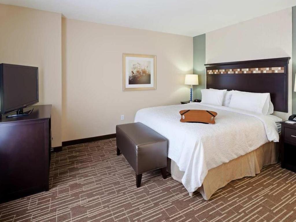 Studio, Suite, King Bed, Sofa, Accessible
