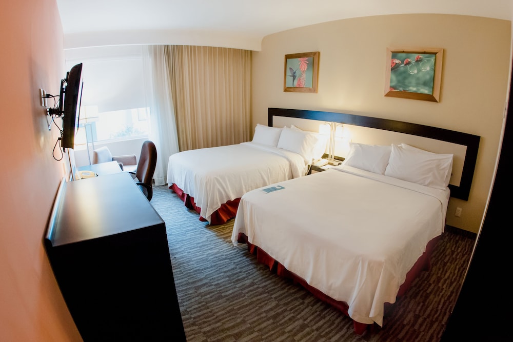 Excellence Express & Suites San Juan Del Rio 13/39