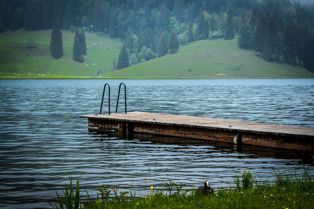 Arabella Alpenhotel am Spitzingsee 23/43