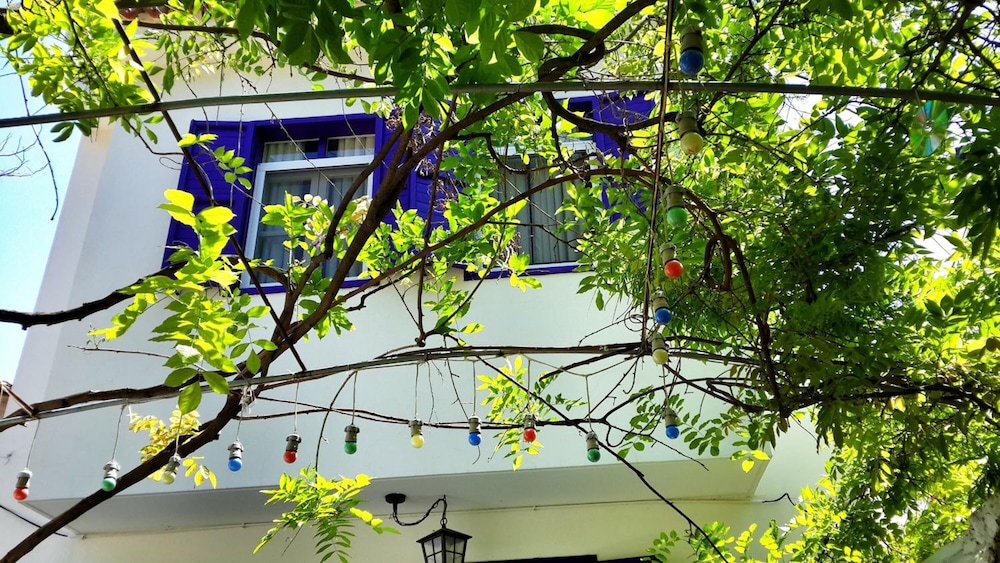 Amaranda Ada Evi - Adults Only 24/24