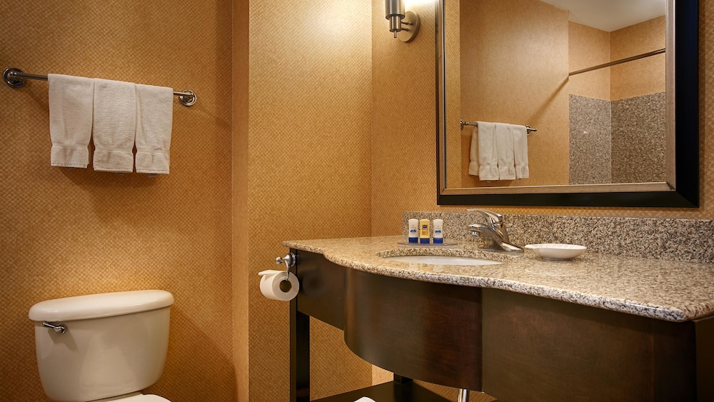 Best Western Plus Flowood Inn & Suites 32/39