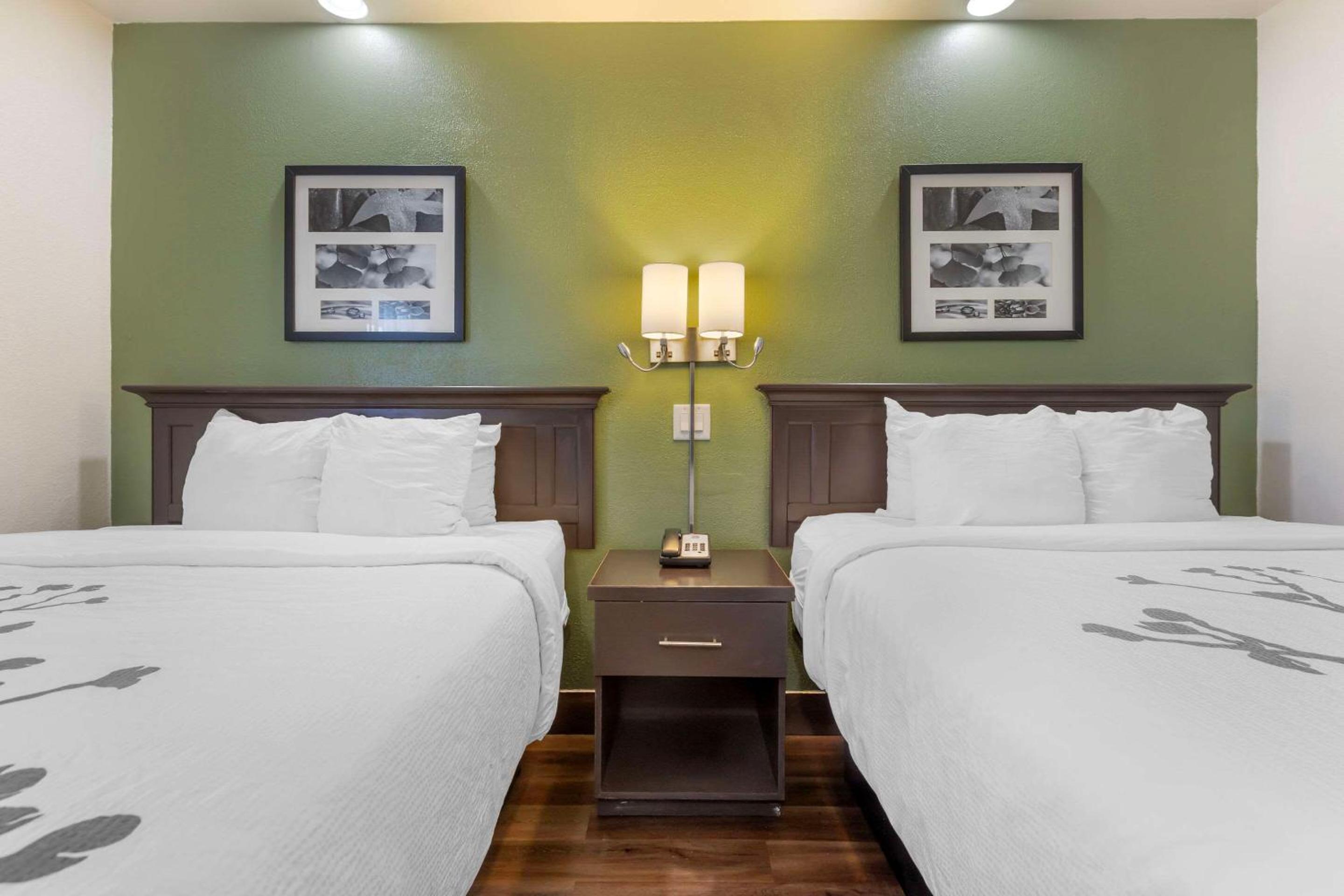 Sleep Inn Sumter thumb 4