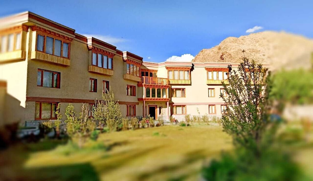 The Driftwood Ladakh 47/50