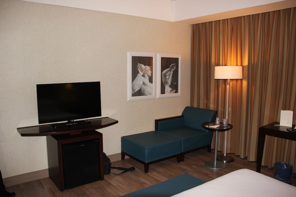 Sheraton Parco De Medici Rome Hotel 33/66