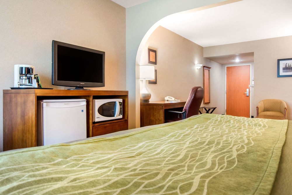 Business, Suite, King Bed, Sofa