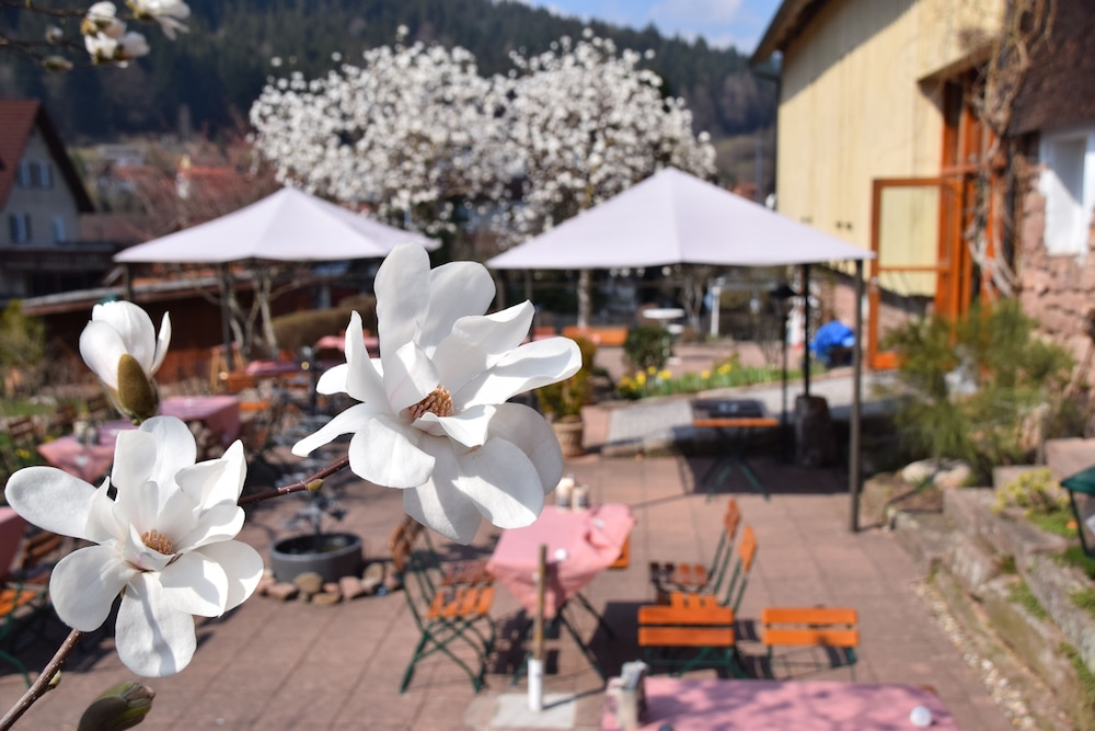 Waldknechtshof 27/36