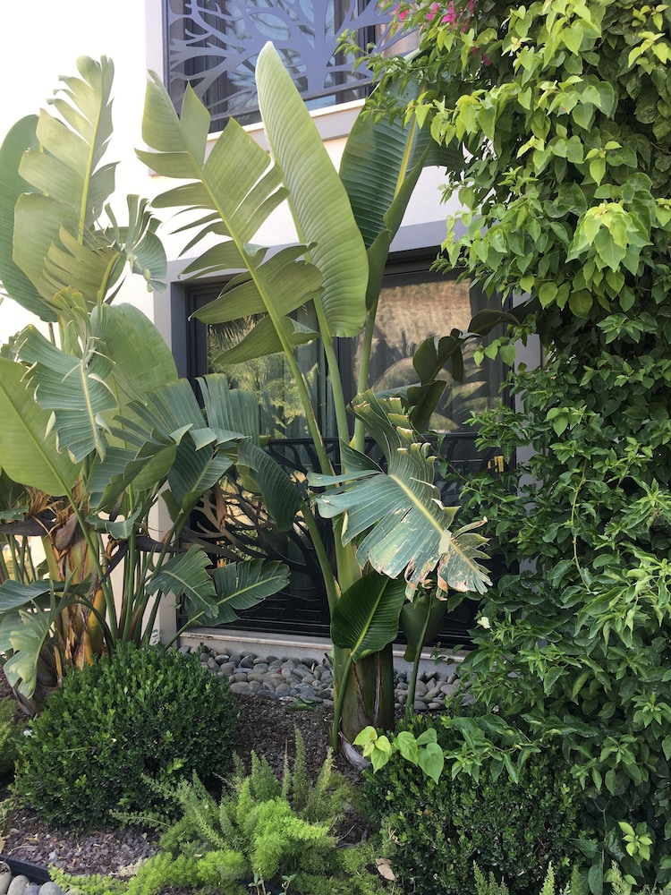 Villa Oliva Butik Hotel 29/50