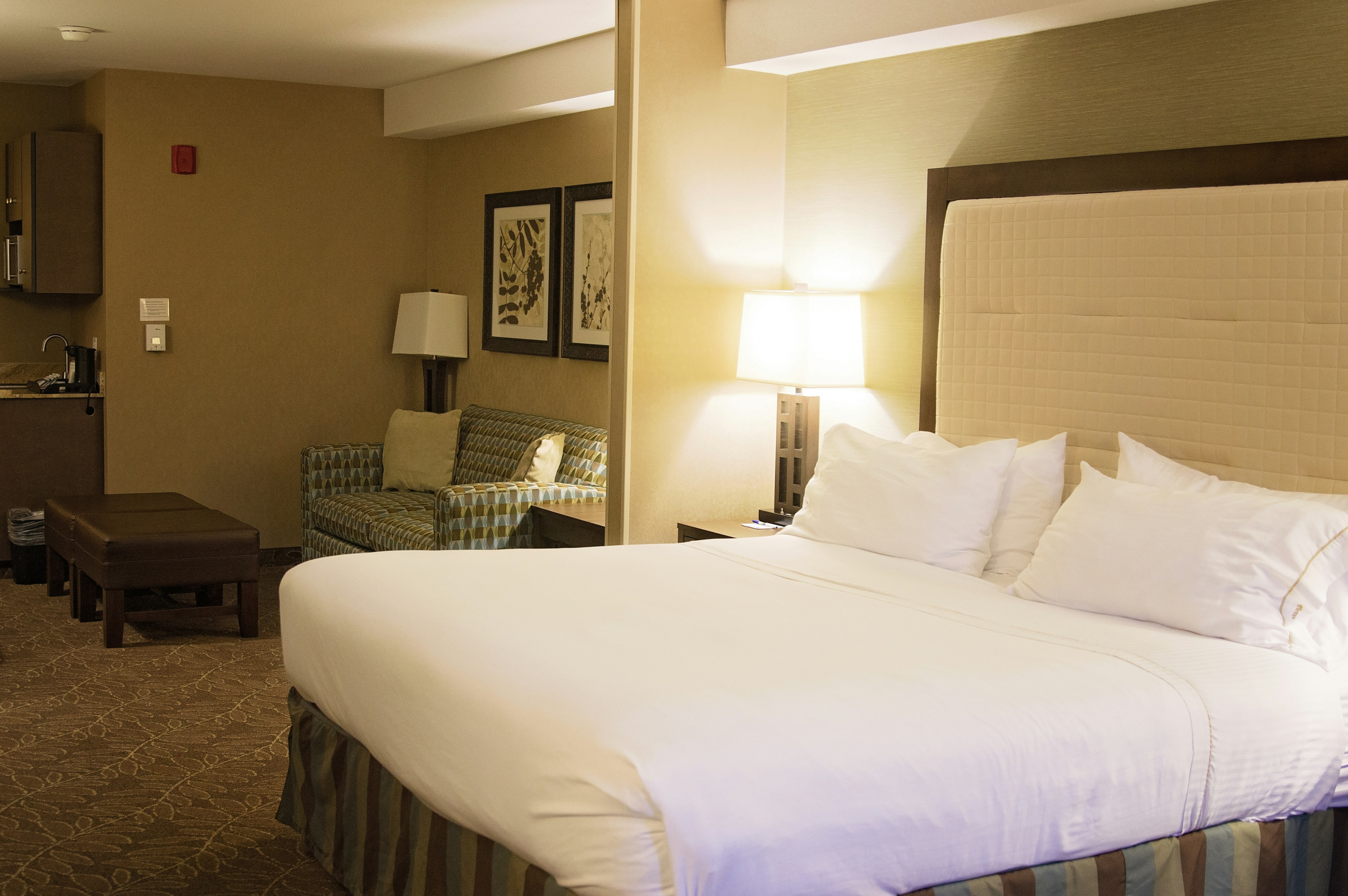 Holiday Inn Express Hotel Suites Logan 23/79