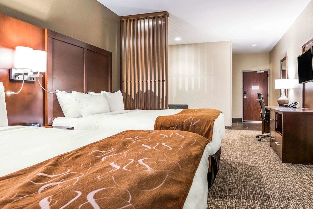 جناح بسريرين كوين لذوي الإعاقة، Comfort Suites Florence - Cincinnati South 2/7