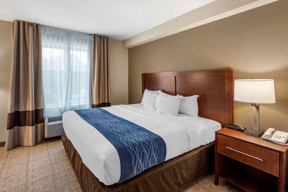 UPGRADE, SUITE, KING BED, ACCESSIBLE