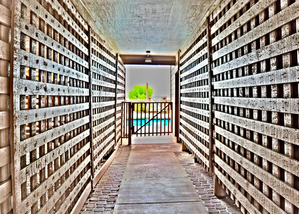 Ocean Forest Colony 19/54