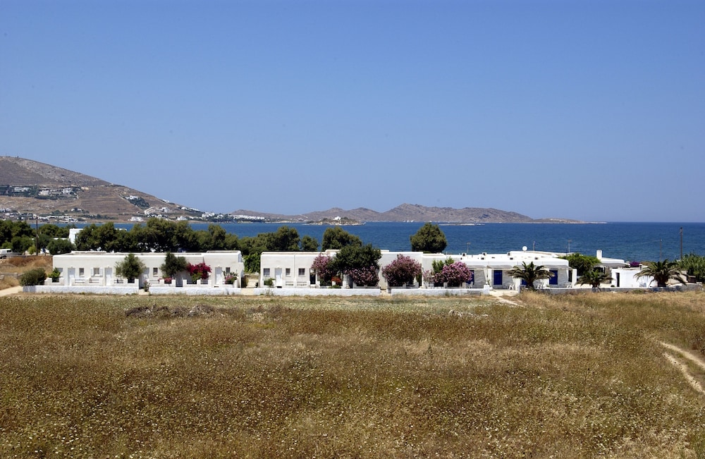 Naoussa 39/50