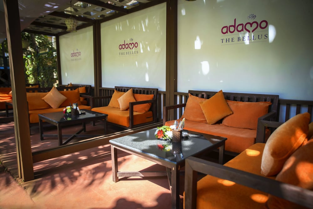 Adamo The Bellus Goa 27/50