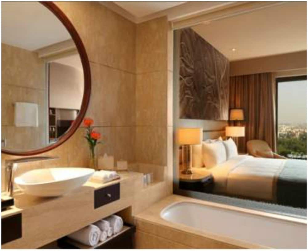 The Leela Ambience Convention Hotel Delhi 18/63