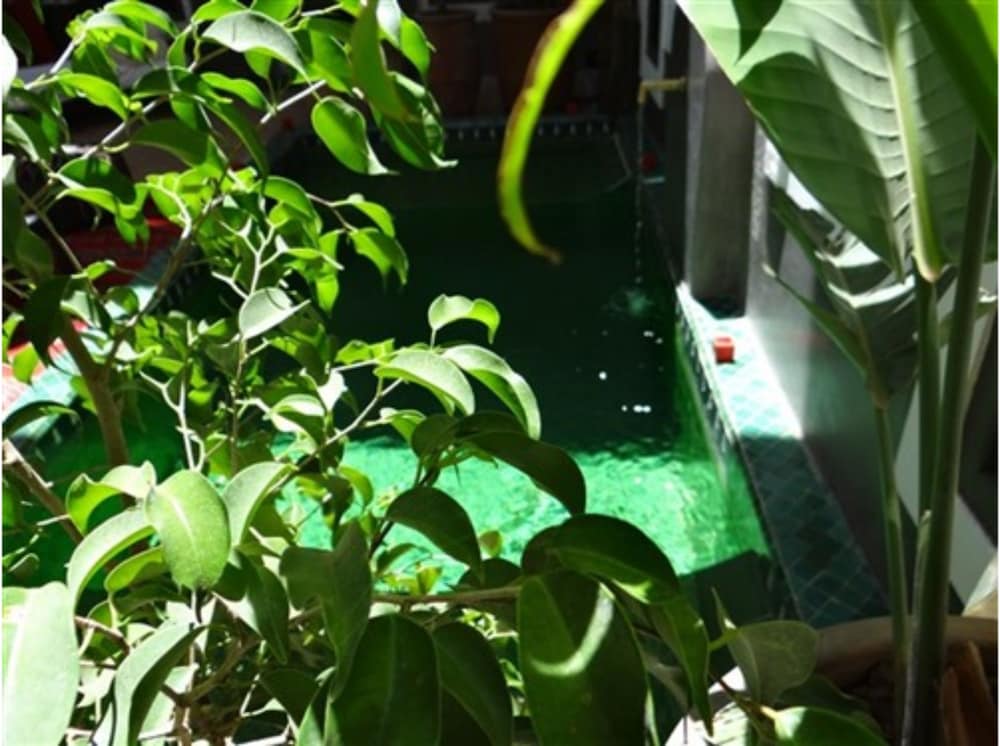 Riad le Jardin Des Sens & Spa 46/50