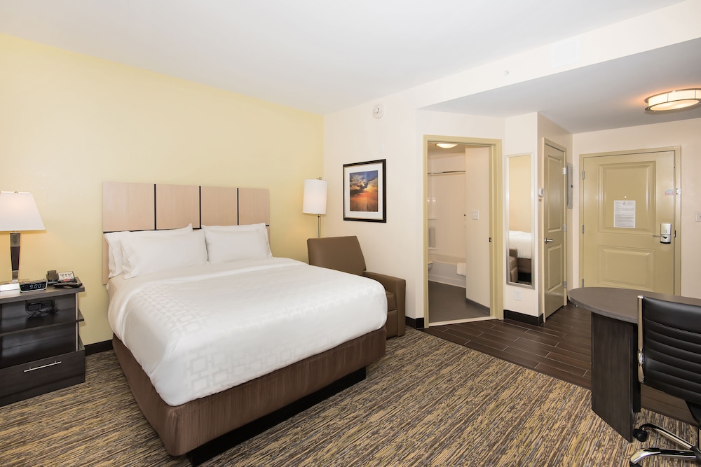 Studio, Suite, Queen Bed, Kitchen
