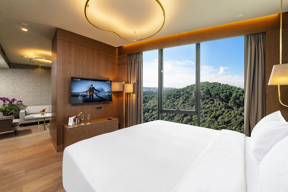 Radisson Collection Hotel Vadistanbul 23/75
