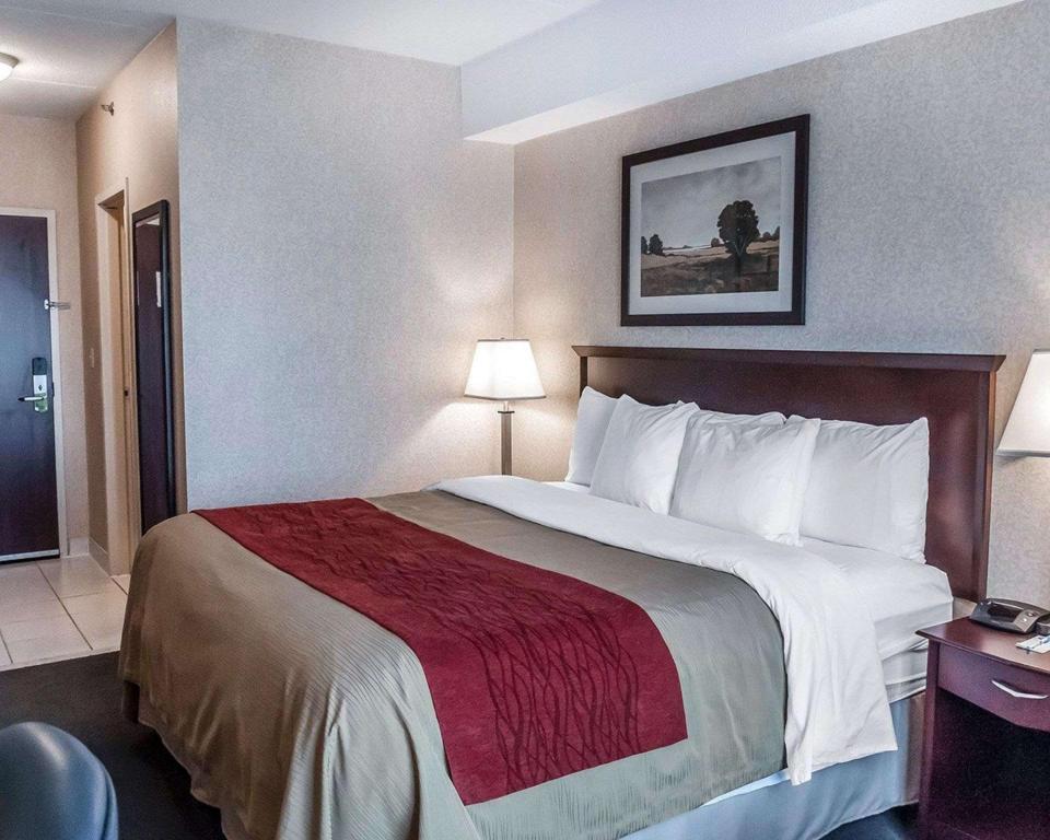 Upgrade, Efficiency, King Bed، Comfort Inn Mississauga 2/6