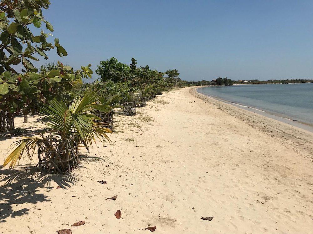 Coconut Lodge 31/50
