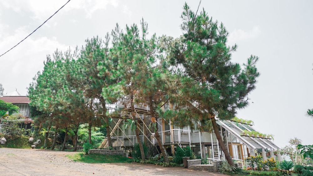 Vila Air Natural Resort 11/50