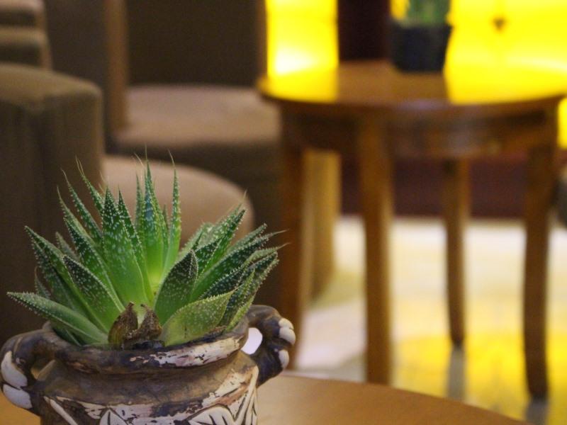 GreenTree Inn Tangshan Ring Road South Ring and Fuxing Road Express Hotel 24/41