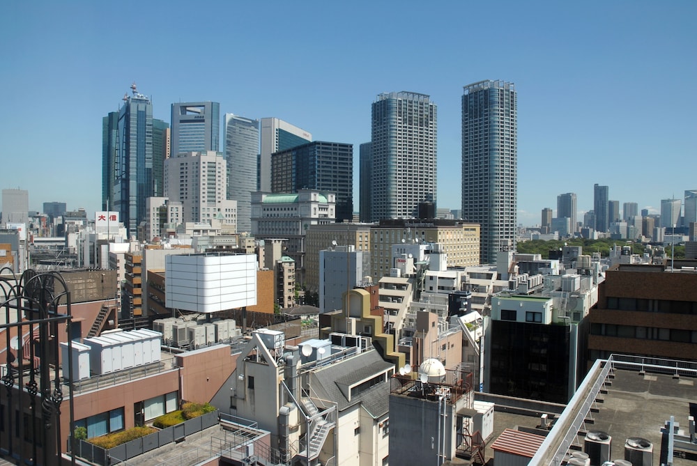 Sotetsu Fresa Inn Hamamatsucho Daimon 43/46