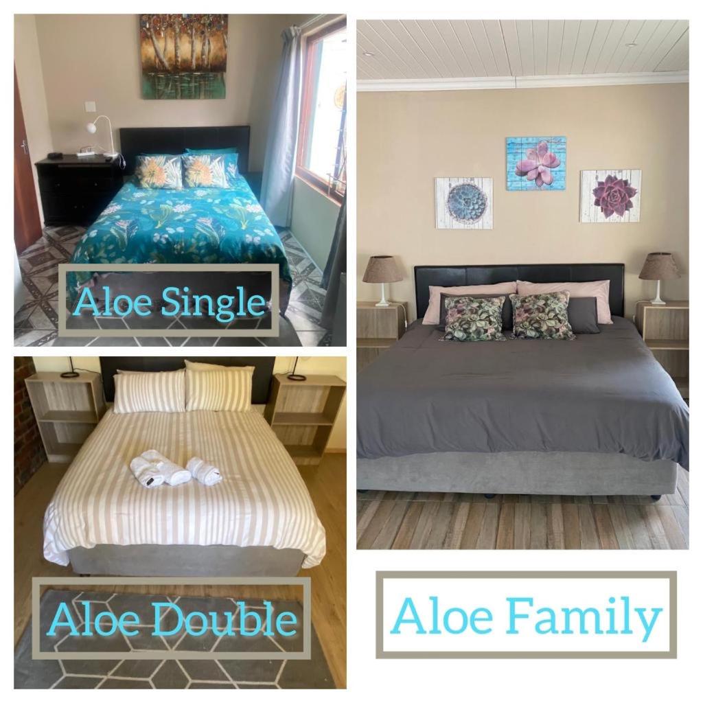 Aloe Guest Rooms 7/24