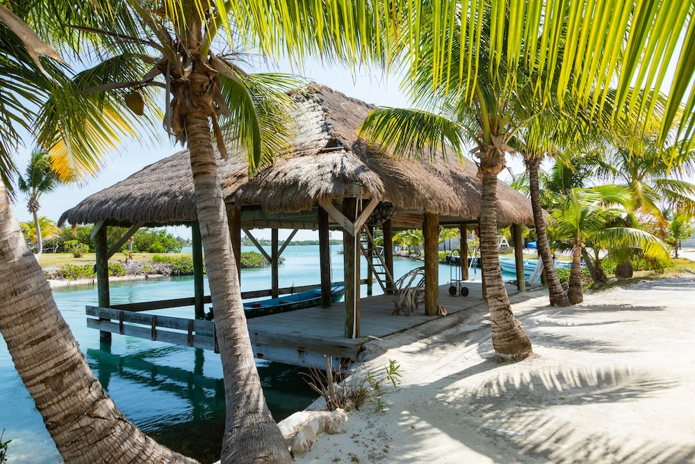 Shaka Caye 47/50