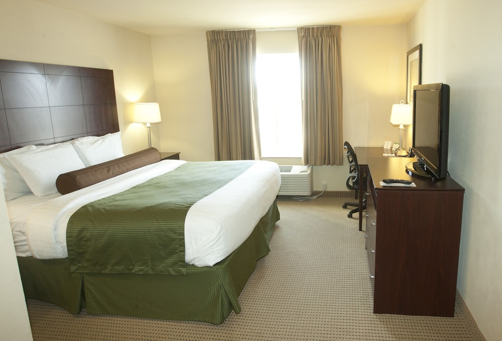 Room, King Bed